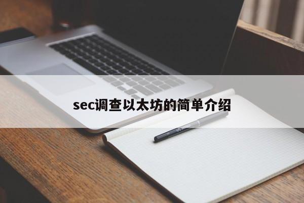 sec调查以太坊的简单介绍