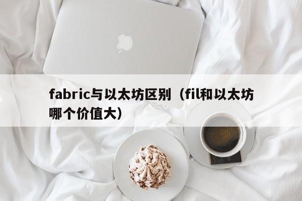 fabric与以太坊区别(fil和以太坊哪个价值大)