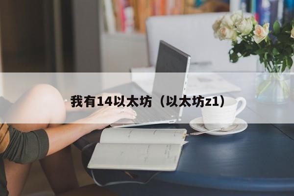 我有14以太坊(以太坊z1)