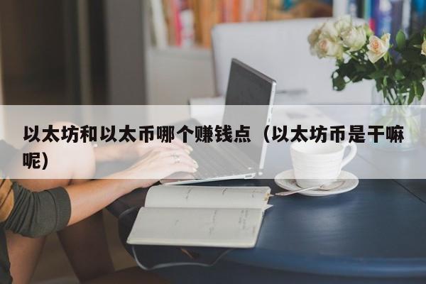 以太坊和以太币哪个赚钱点(以太坊币是干嘛呢)