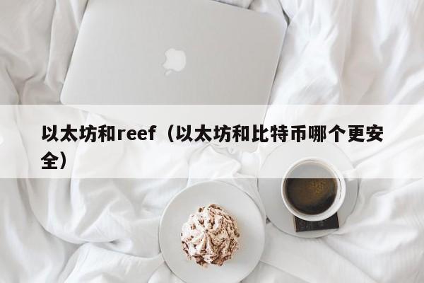 以太坊和reef(以太坊和比特币哪个更安全)